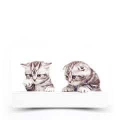 pettopArt Magnet