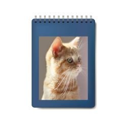 pettopArt Mini Defter