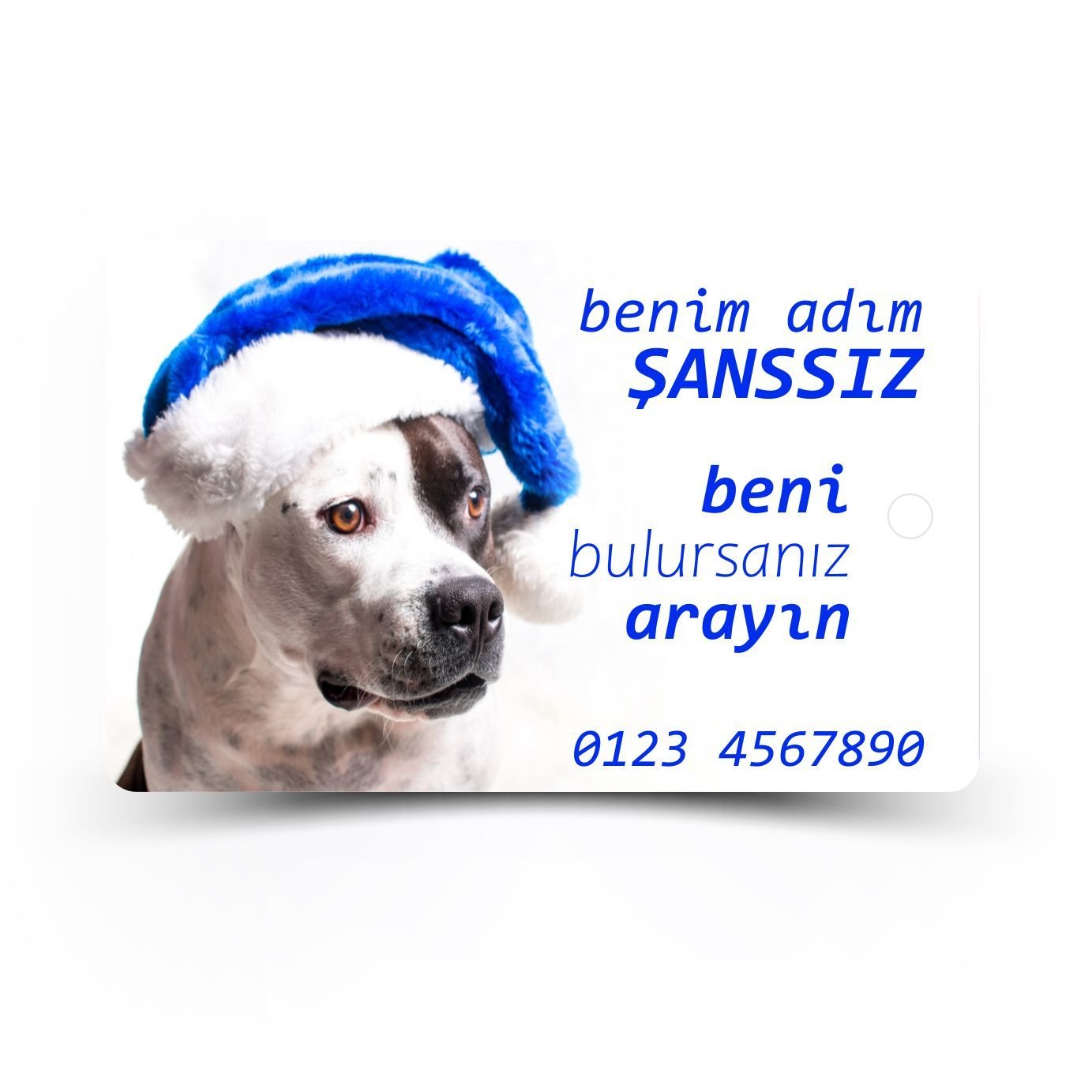pettopArt İsimlik