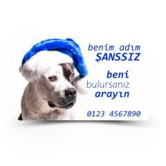 pettopArt İsimlik